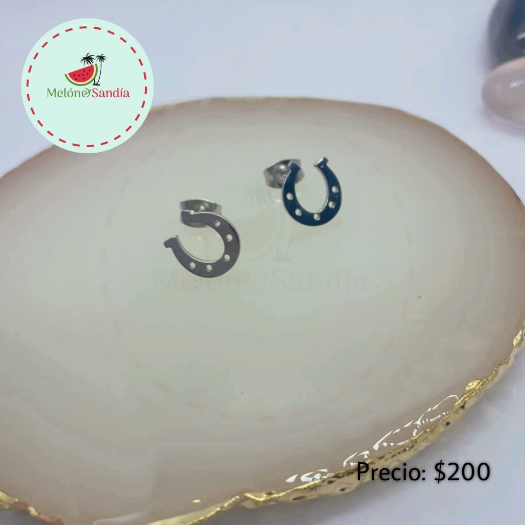 Aretes Herradura