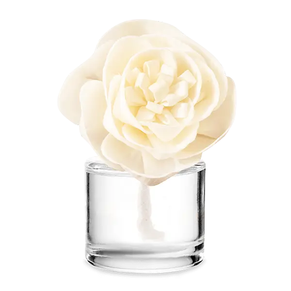 Flor Aromática Buttercup Belle - Cashmere & Corduroy